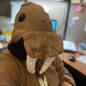 Fleece walrus costume/ Jammie’s